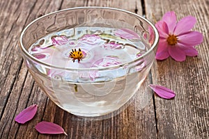 Bowl of water and floating flower