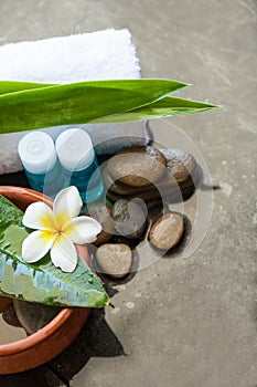 Bowl of water with flower, towel and cream tube