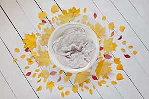 Bowl on a white background with autumn yellow and orange leaves for photo shoot