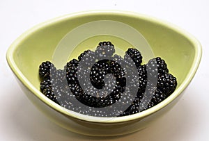 Bowl of wild blackberries