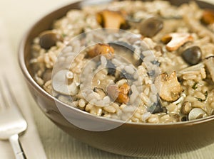 Bowl of Wild Mushroom Risotto