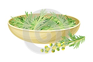 Bowl with Wormwood or Southernwood Plant with Feathery Leaves and Small Yellow Flowers Vector Illustration