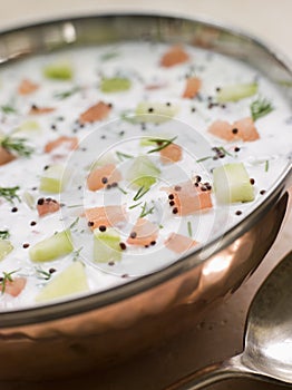 Bowl of Yoghurt Summer Soup