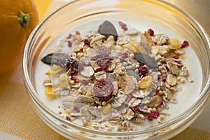 Bowl with Yogurt and organic muesli