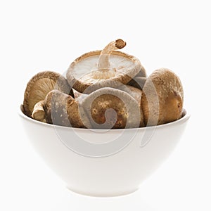 Bowlful of mushrooms.