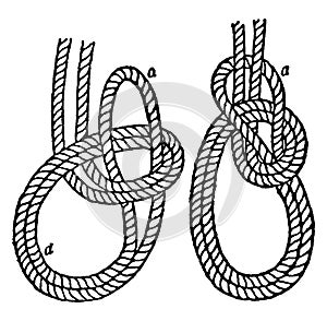 Bowline on a Bight, vintage illustration