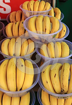 Bowls of bananas