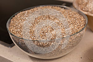 bowls with barley malt and wheat malt for brewing beer