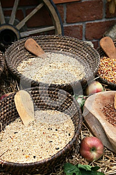 Bowls of cereal grains