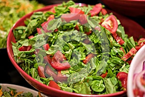 Bowls of colorful, leafy salads ready to serve. They mirror the shift towards plant-based diets and sustainable eating