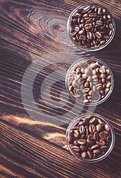 Bowls of different types of coffee beans