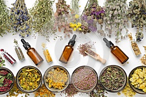 Bowls of dry medicinal herbs, healing plants bunches, bottles of dry medicinal plants and dropper bottles of essential oil photo