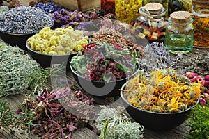 Bowls of dry medicinal herbs - lavender, cornflower coneflower, marigold, rose, Helichrysum flowers, healthy moss and lichen. photo