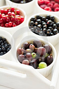 Bowls with fresh ripe gooseberry, red currant, black currant, raspberry, blueberry and cherry