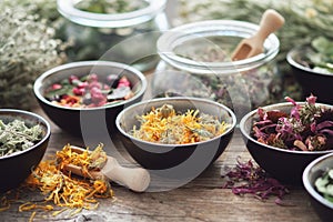 Bowls and jars of medicinal herbs on table. Healing herbs assortment. Alternative medicine