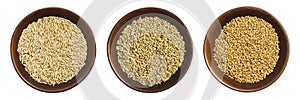 Bowls of oats, barley and wheat grains isolated above