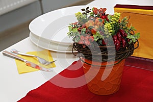 Bowls with salad ingredients