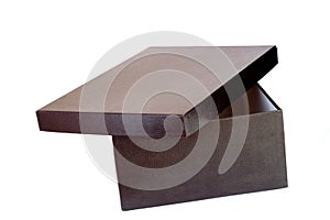 Box with black snake texture