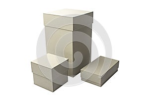 A box of cardboard for the presentation of your design. Objects on white background.