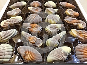 Box of chocolate praline