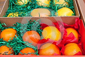 Box with citrus fruits - oranges, grapefruits and
