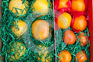 Box with citrus fruits - oranges, grapefruits and
