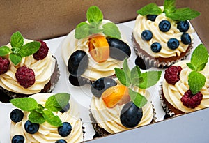 Cupcakes in a box