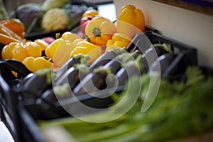 Box with different fresh vegetables, vegetables for sale