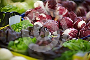 Box with different fresh vegetables, vegetables for sale