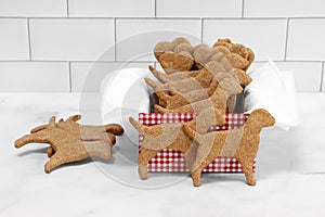 A box of dog shaped dog cookies with two standing in front
