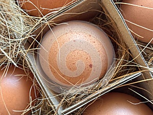 A box of eggs with a single egg in the middle