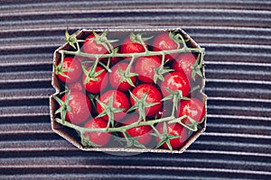 Box of fresh ripe red tomatoes cherry cocktail type for sale in a market