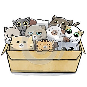 Box full of cats cramped together photo