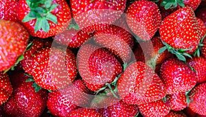 A box full of fresh, ripe, red strawberries