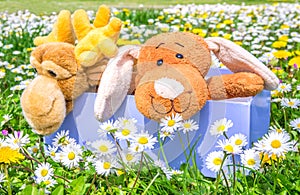 Box full of puppets on a beautiful flowered meadow