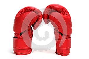 Box Gloves