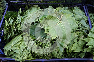 Box grape leaves