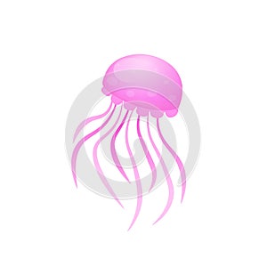 Box Jellyfish icon