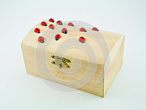 Box and ladybugs 2