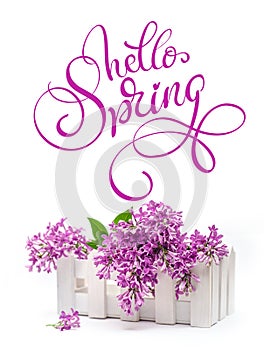 Box and lilac on a white background and text Hello Spring. Calligraphy lettering