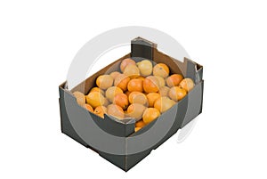 Box of Mandarins photo