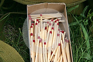 Box of Matches in the Grass Survival Wild Camping Nature Equipment Wilderness Outdoor Northern Forest