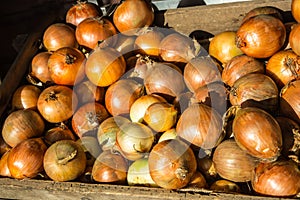 A box of onions
