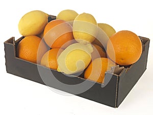 Box of Oranges and Lemons