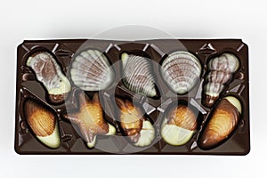 Box of packaged shell-shaped chocolate candy in white and milky chocolate as a gift for a loved one or celebration, close up