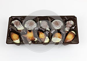 Box of packaged shell-shaped chocolate candy in white and milky chocolate as a gift for a loved one or celebration, close up