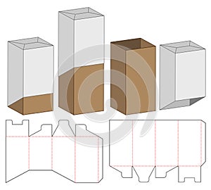 Box packaging die cut template design. 3d mock-up