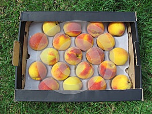 Box of peaches