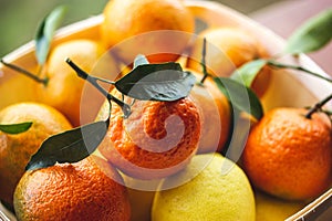 A box with raw ripe oranges, mandarines, citrus fruits lemons. Vitamin C harvest