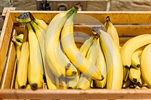 Box with ripe bananas in food store, nobody
